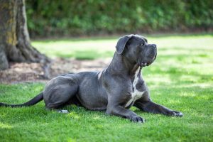 foto del corso del bastón 3