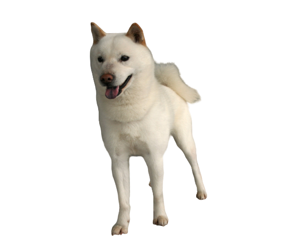 hokkaido