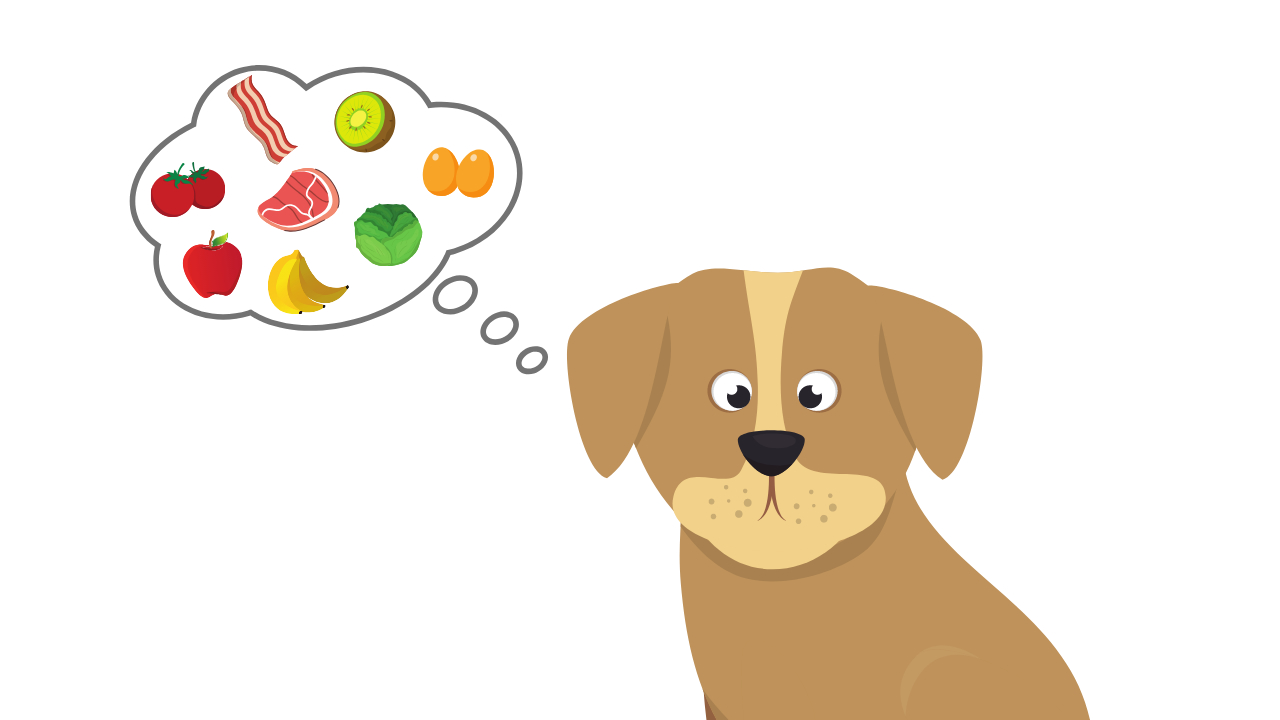 dog thinking about food