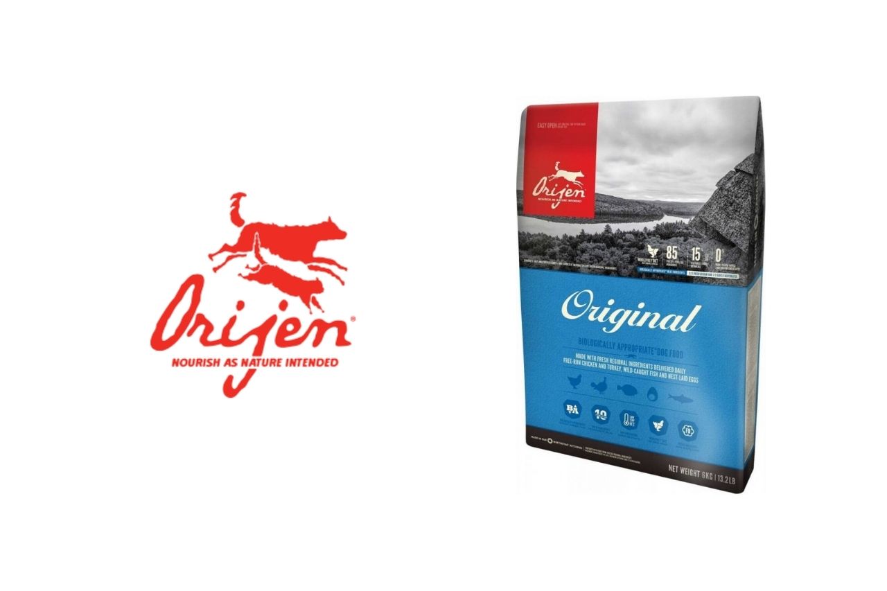 Orijen : tout savoir sur cette marque de croquettes pour chien