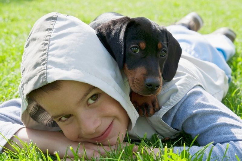 The 21 best dog breeds for families and children