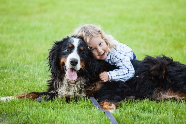 perro de los niños