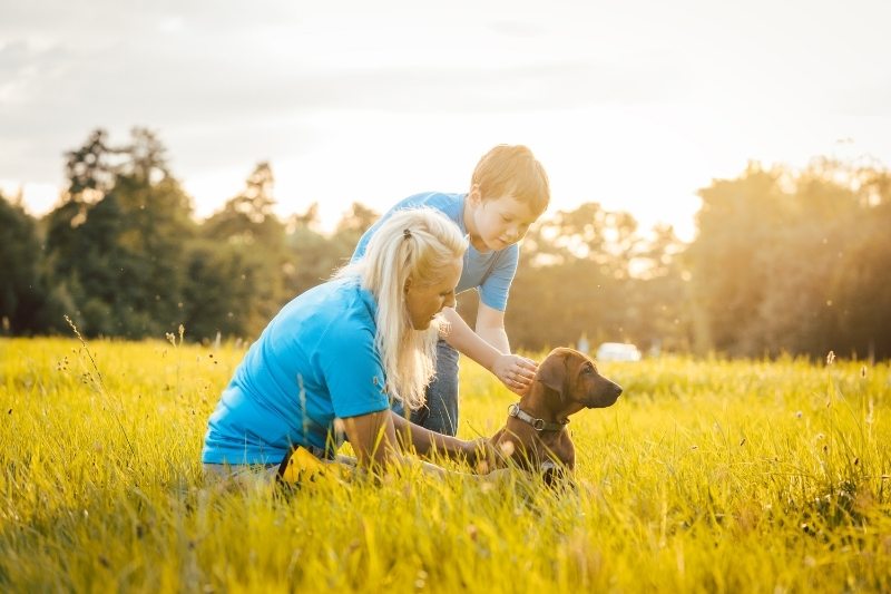 dogs that are good with kids