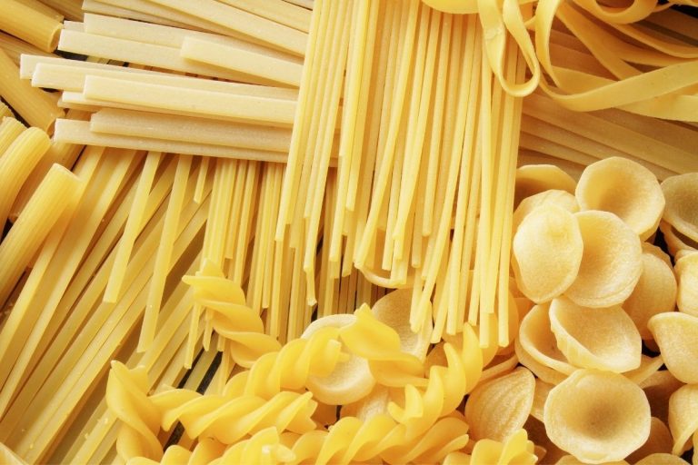 pasta-dog