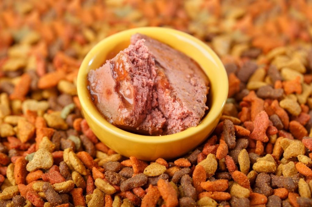 alimento para perros o comida para perros