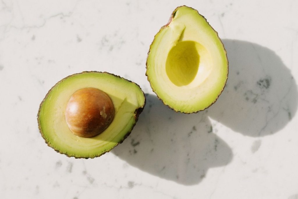 aguacate perros