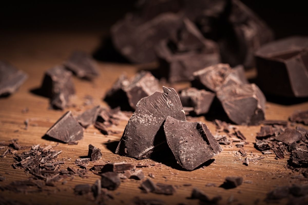 chocolat chien
