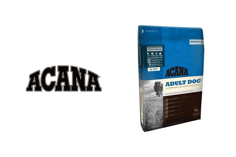 acana avis