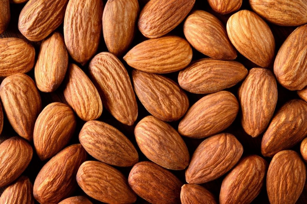 amandes chien