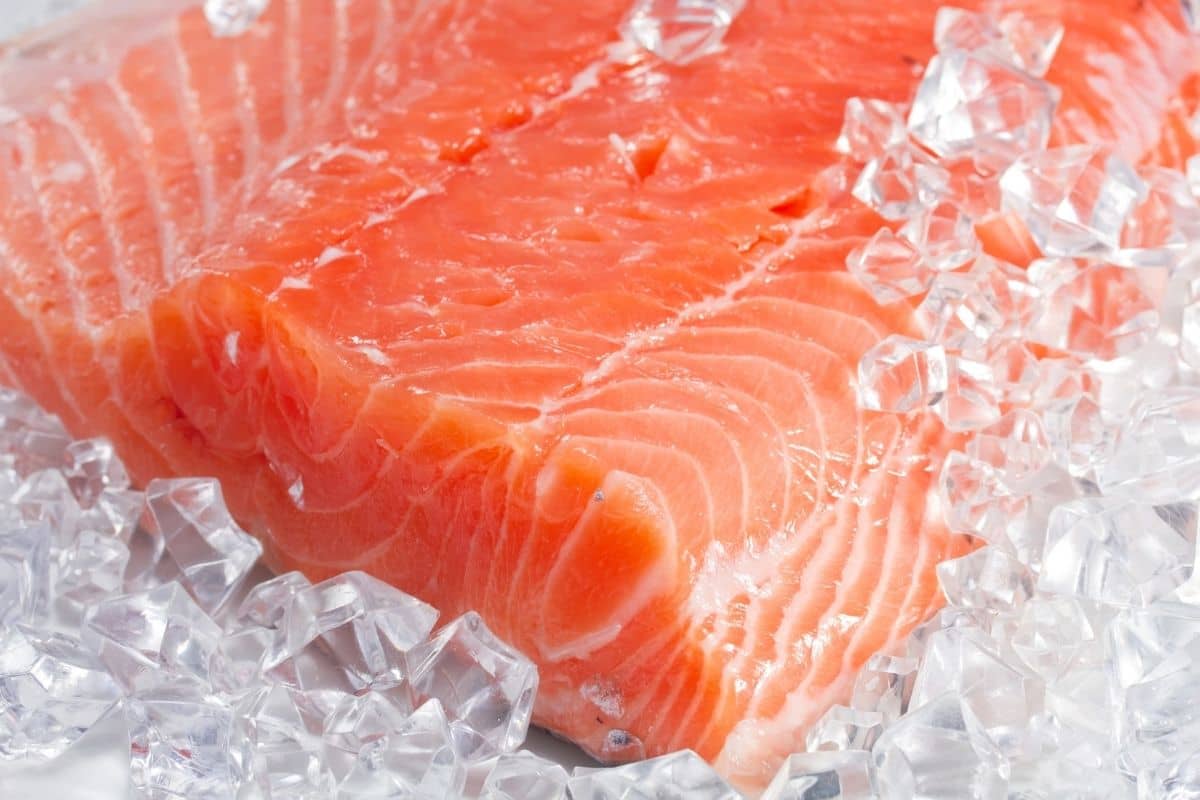 Can my dog eat salmon? (cooked or raw)