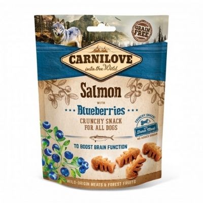 carnilove saumon blueberries