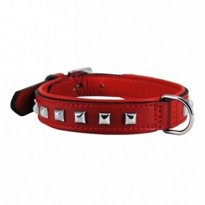 collier en cuir noel chien