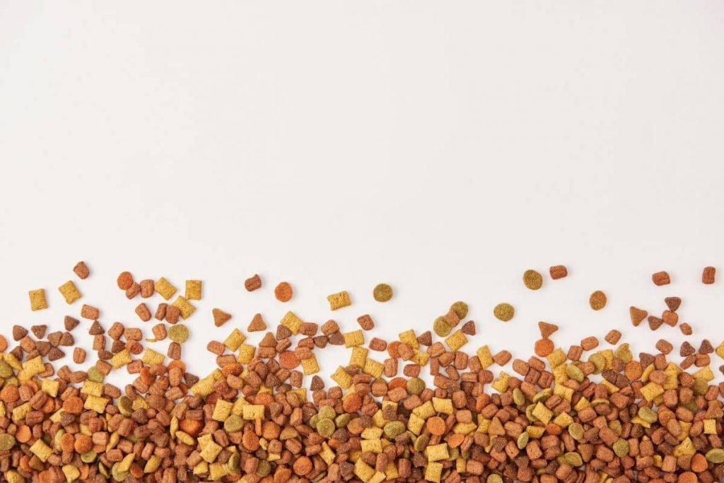 carbohidratos asimilables perro