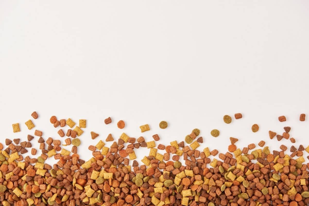 carbohidratos asimilables perro