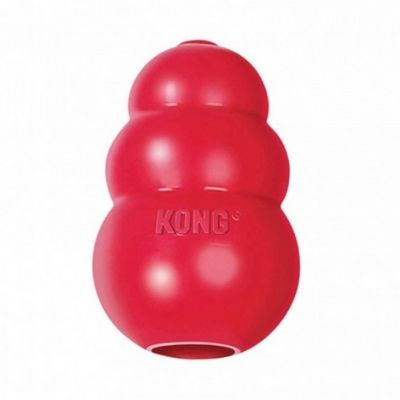 Kong jouet