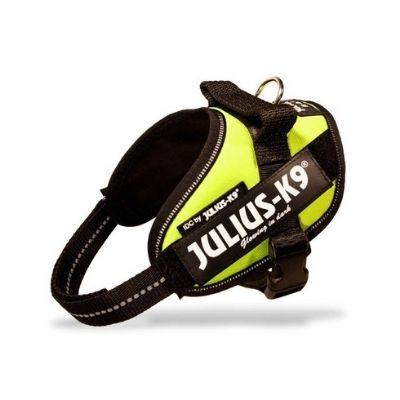 julius k9 idc power fluo