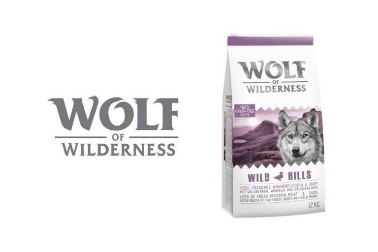 Wolf of Wilderness : tout savoir sur cette marque de croquettes pour chien