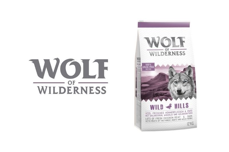 Wolf of Wilderness : tout savoir sur cette marque de croquettes pour chien