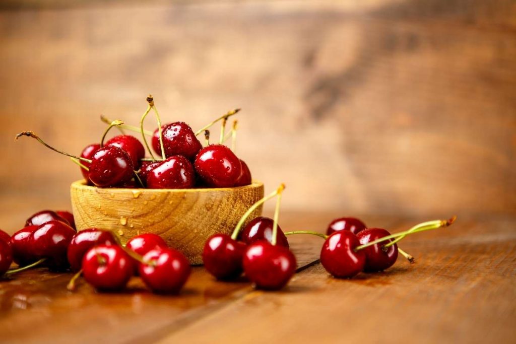 can dogs eat cherries