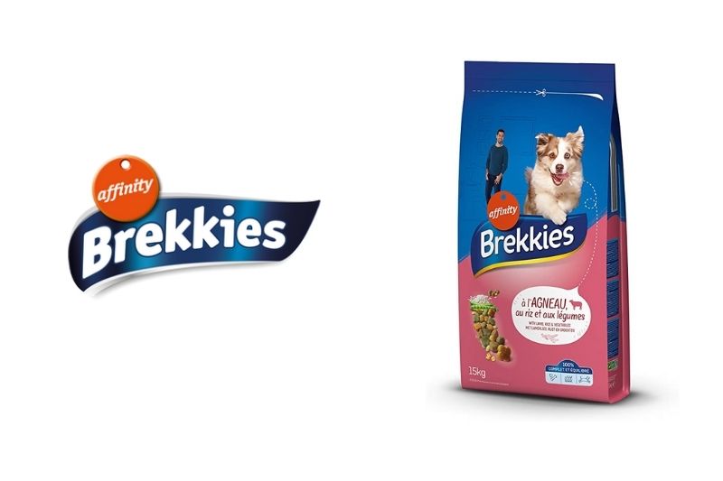 Brekkies : tout savoir sur ces croquettes pour chien