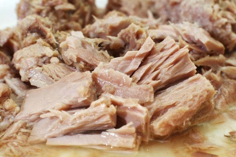 Can dogs eat tuna? Is it good for them?