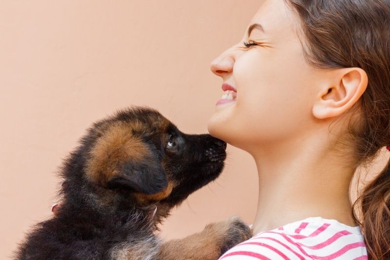 raising a puppy