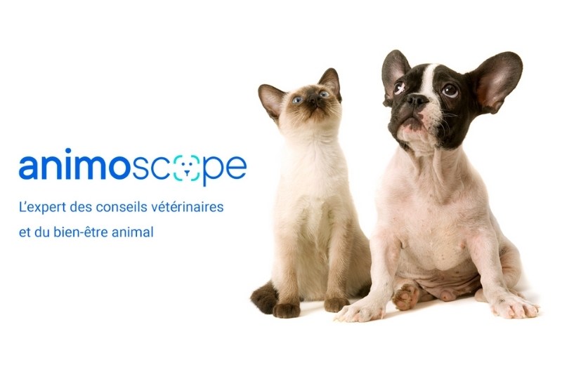 Animoscope, l’expert de la santé et du bien-être animal