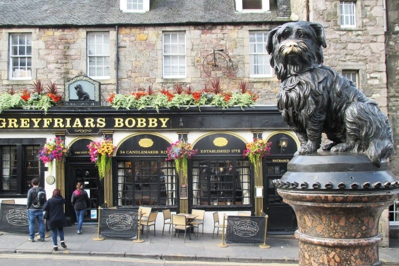 bobby greyfriars