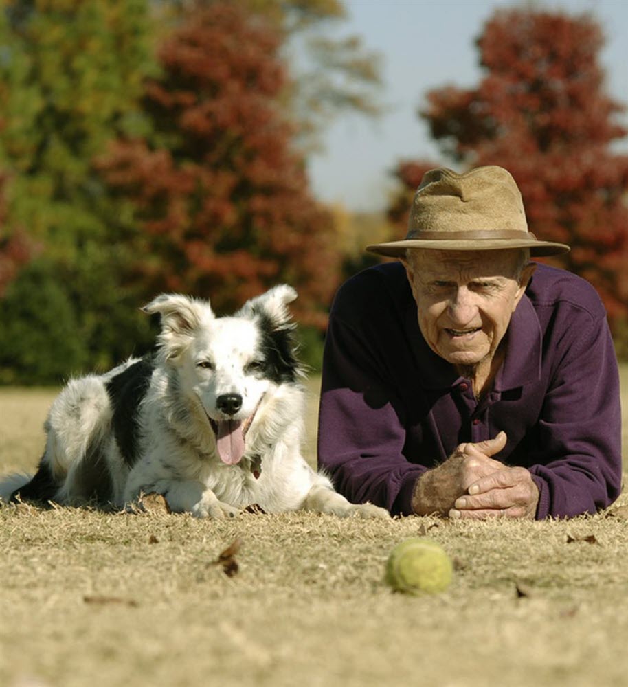 chaser border collie