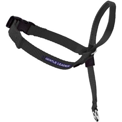 petsafe collar