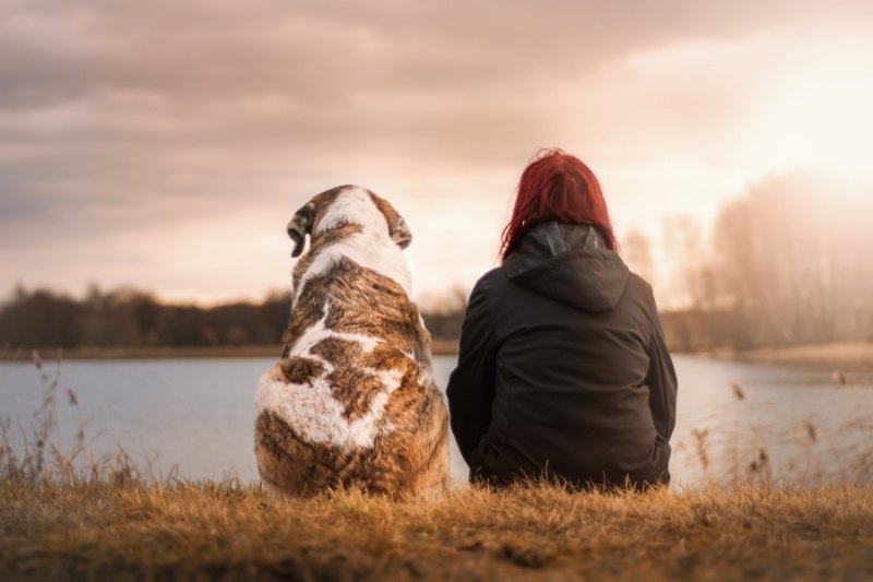 benefits of having a dog