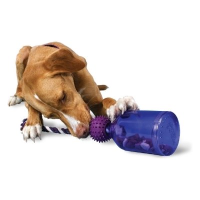 busy buddy dog chew toy