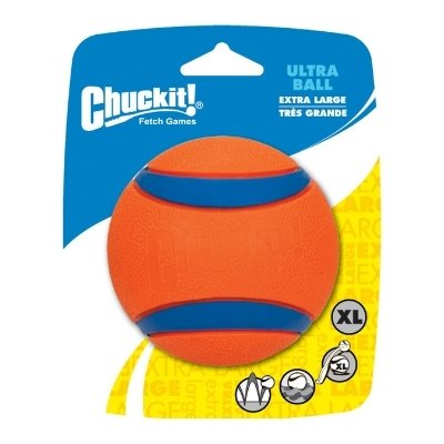 chuckit dog toy