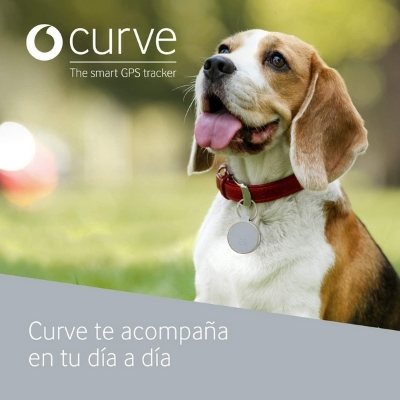 curve collar gps perro