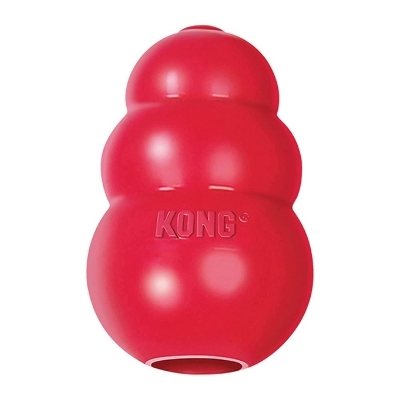 kong for dogs