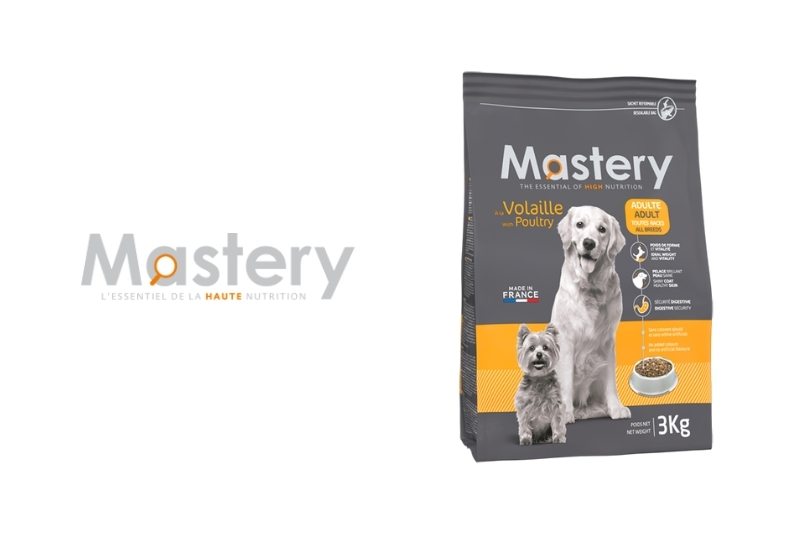 Croquettes Mastery pour chien : avis, présentation et gammes