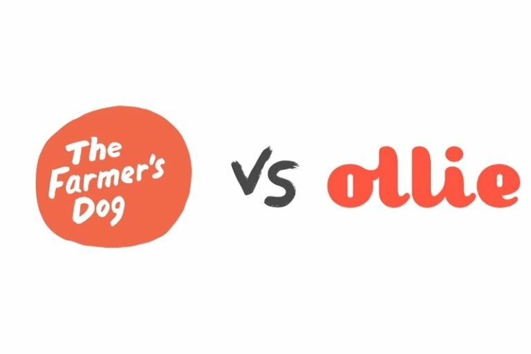 The Farmer’s Dog vs Ollie: which one is the best for you?
