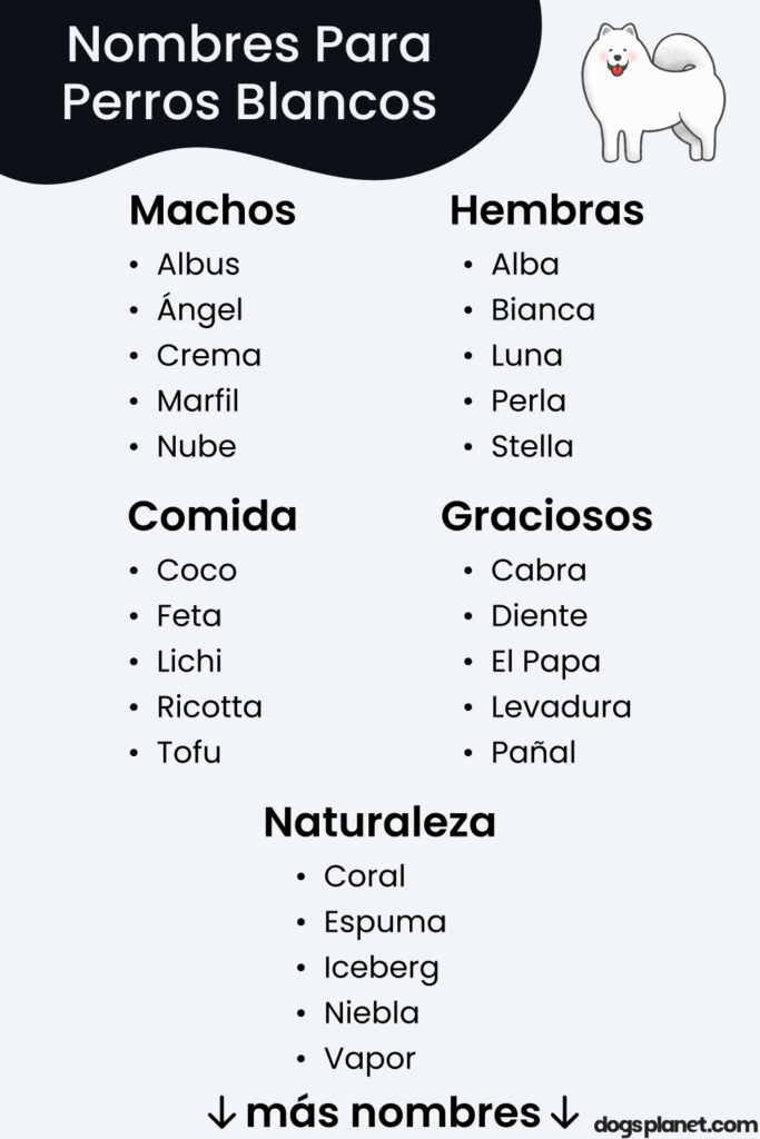 Nombres Perros Blancos