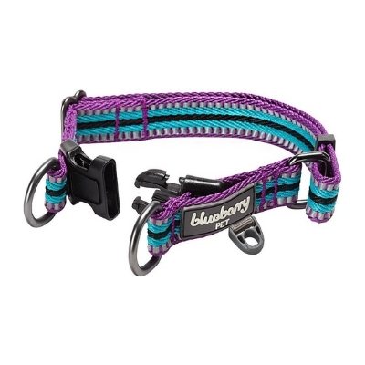 blueberry reflective collar