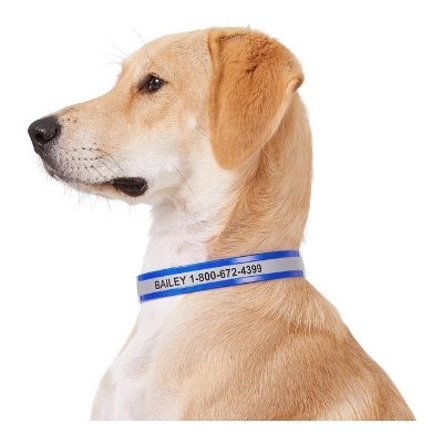 gotags collar