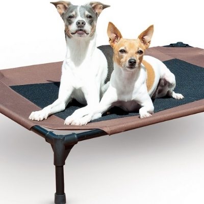 kh dog bed