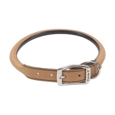 coastal pet products golden retriever collar