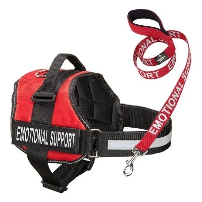 emotional support harness border collie
