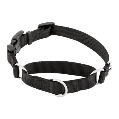 frisco dog collar