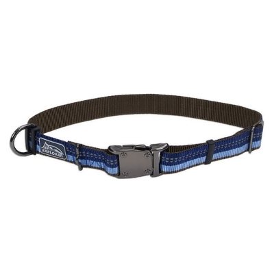 k9 explorer collar golden