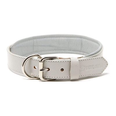 logical leather collar golden