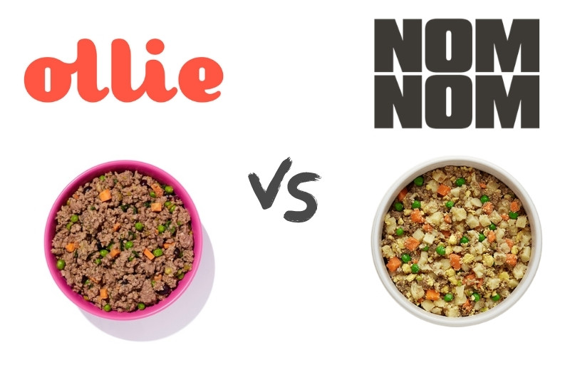 nom nom vs ollie food recipes
