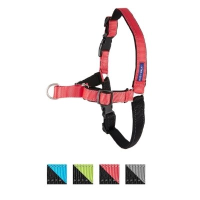 petsafe harness deluxe for border collie