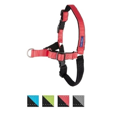 petsafe harness deluxe for border collie