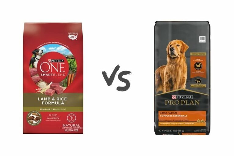 Purina One vs Pro Plan: which one should you choose?